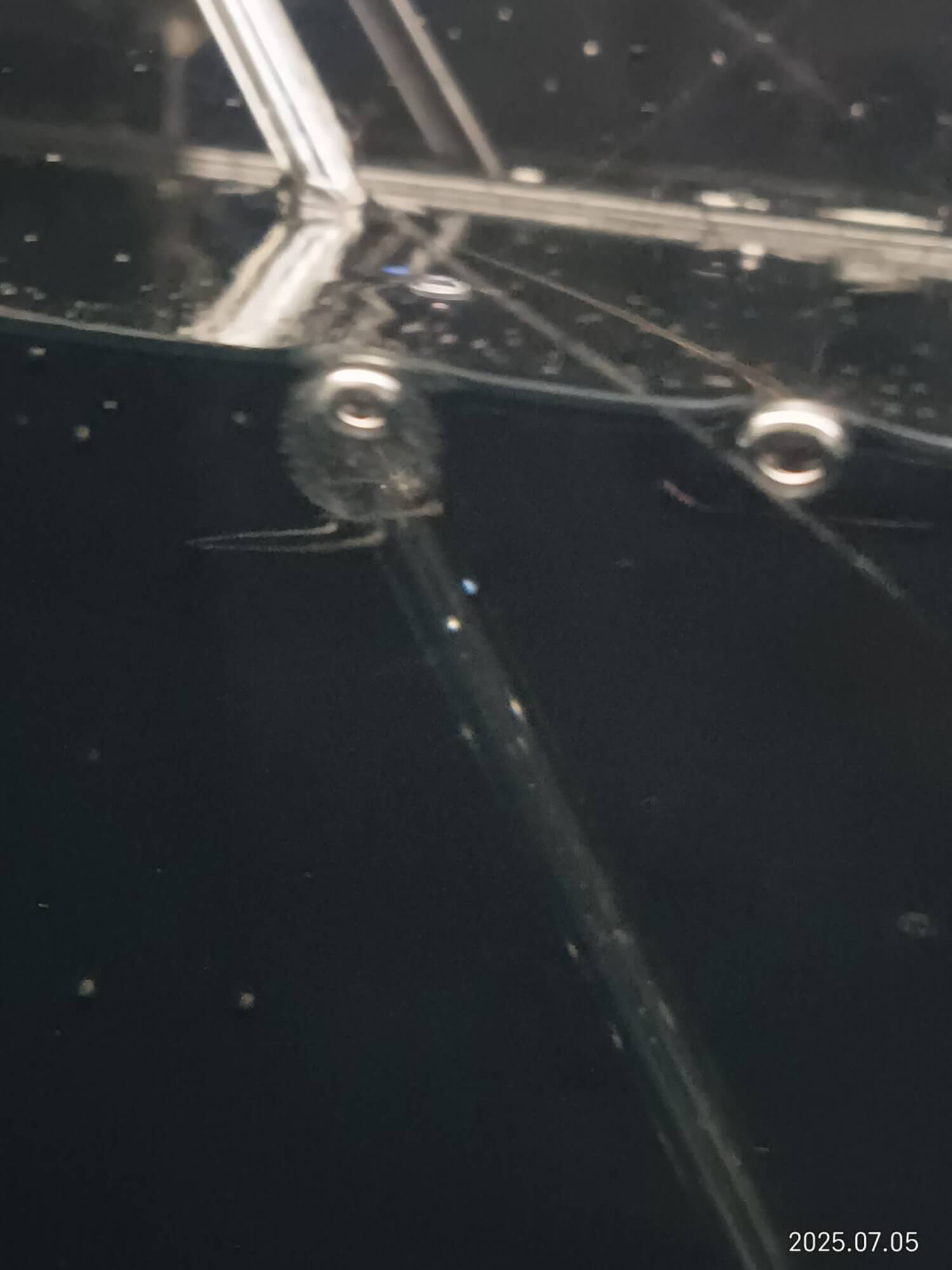 04 フクロクジュクラゲ