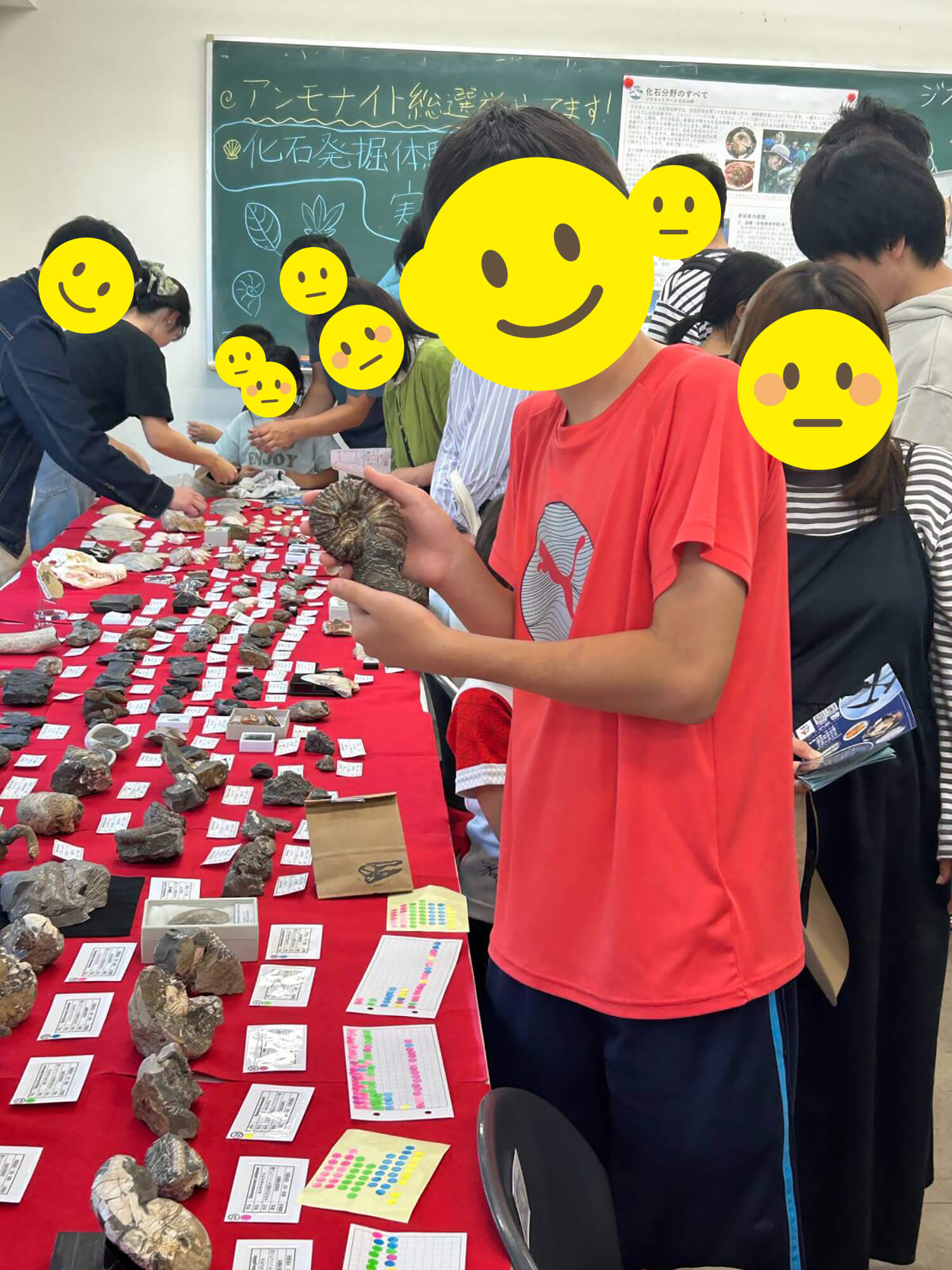 10　考古学だけでなくて理科もかなり好きです。