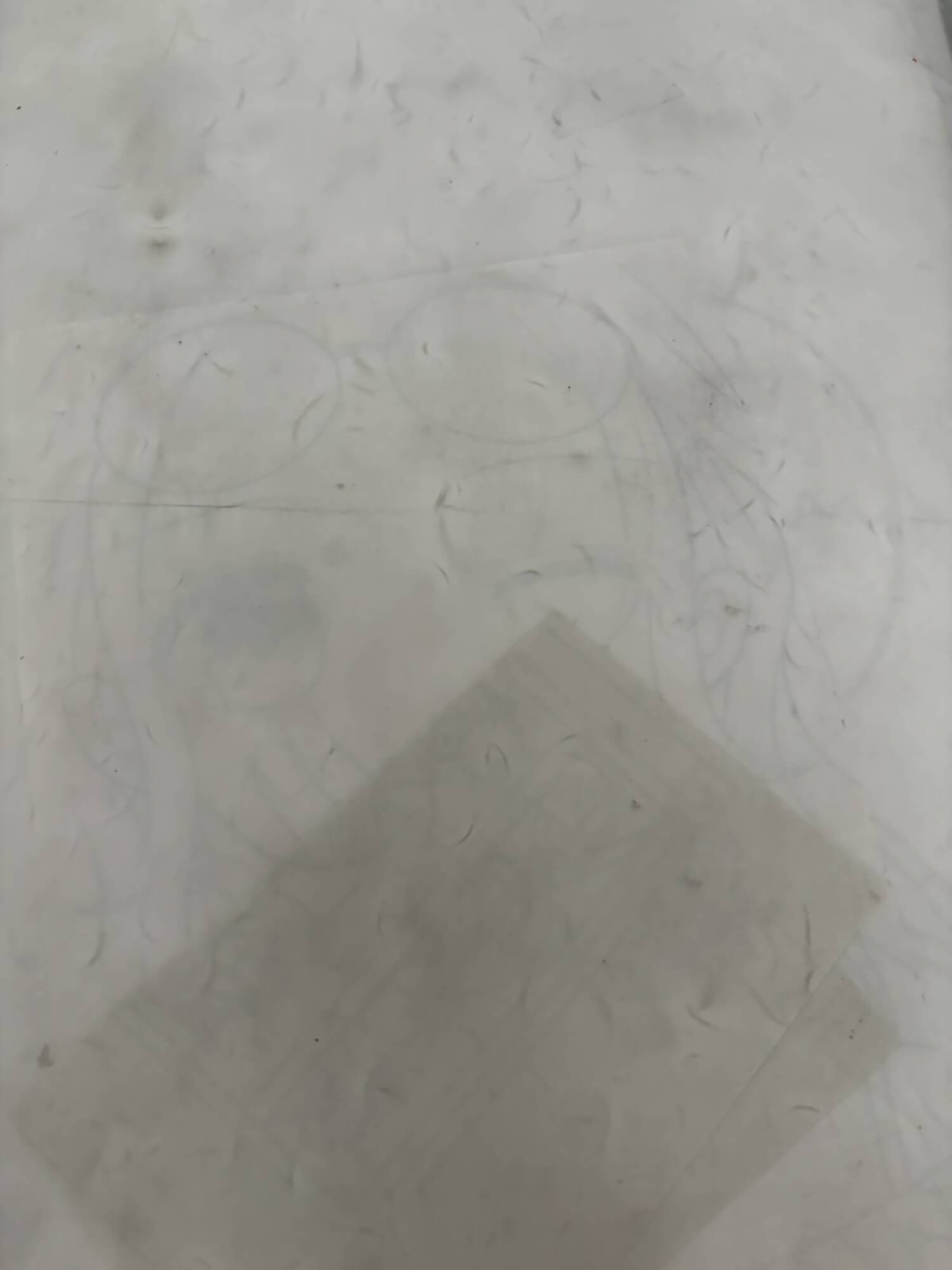 05　塗り絵ファイル