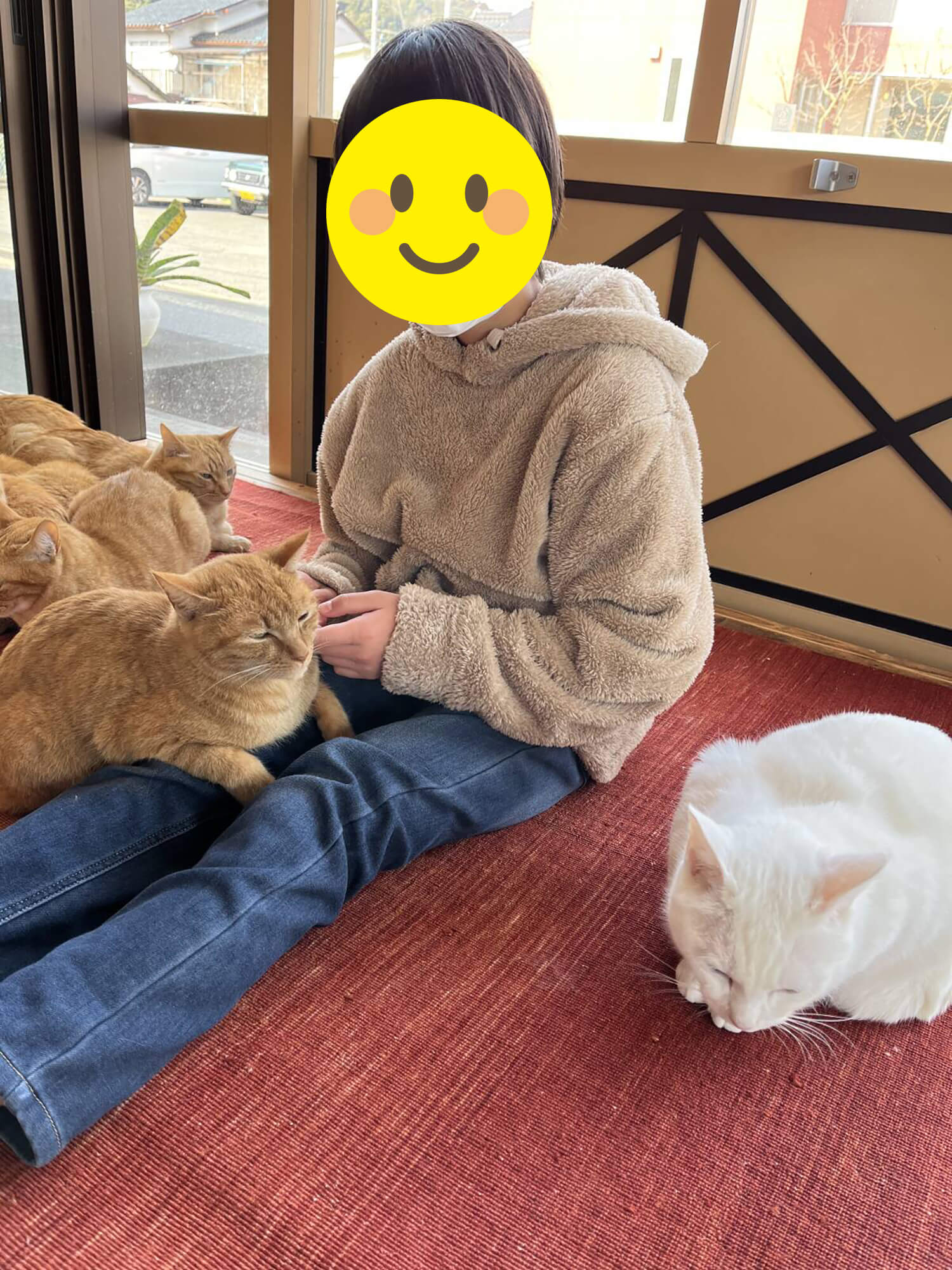 06　癒しの猫カフェ