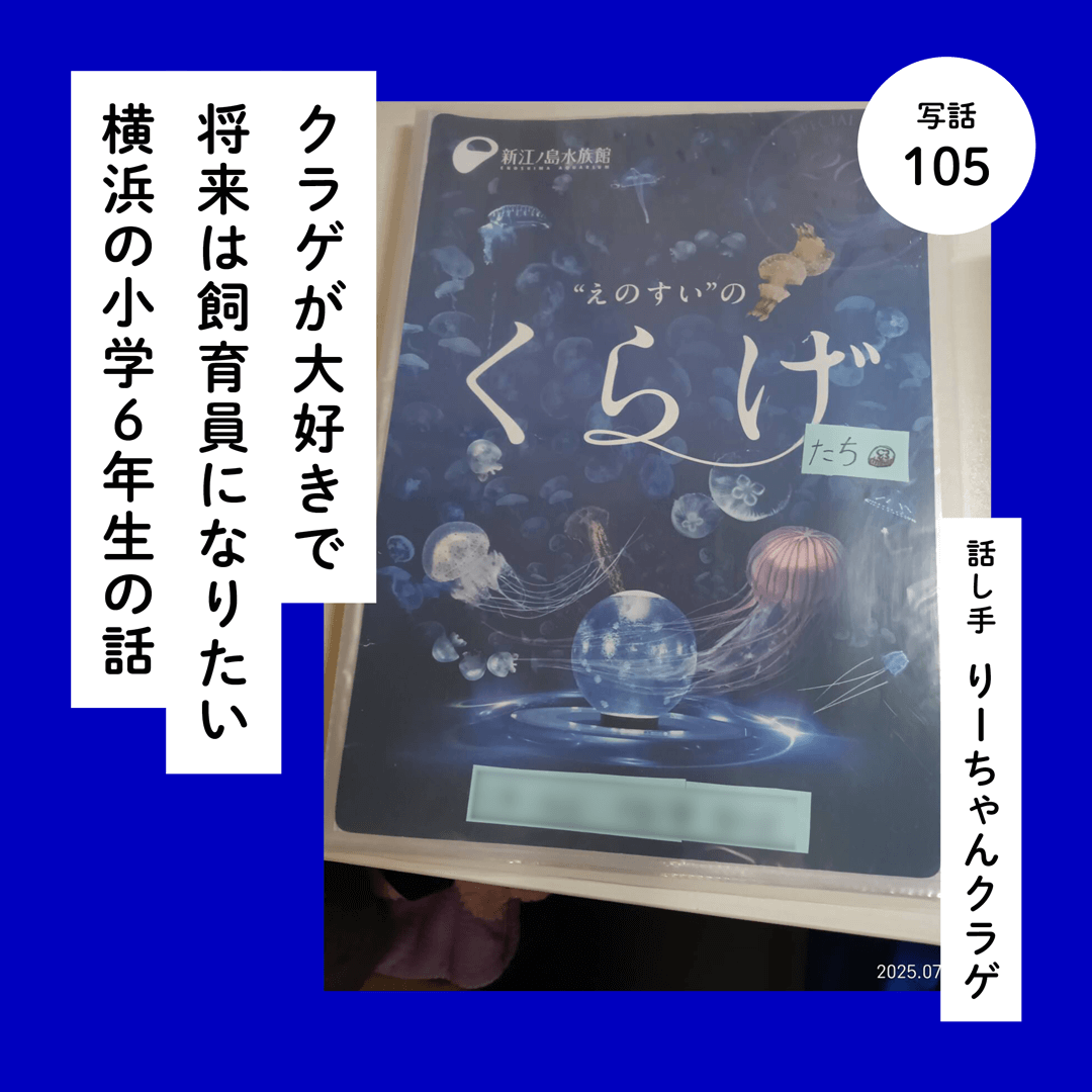 クラゲが大好きで将来は飼育員になりたい横浜の小学６年生の話