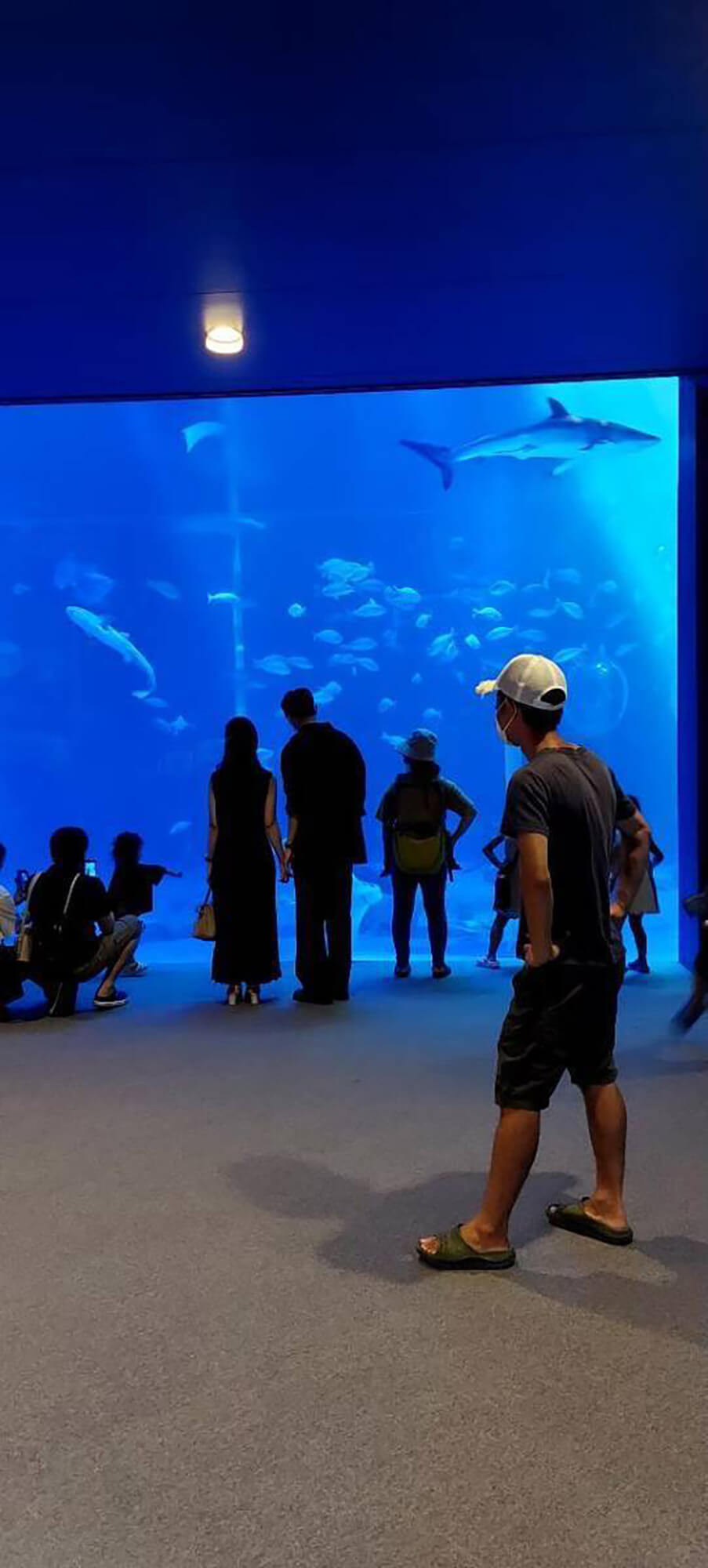 03 水族館
