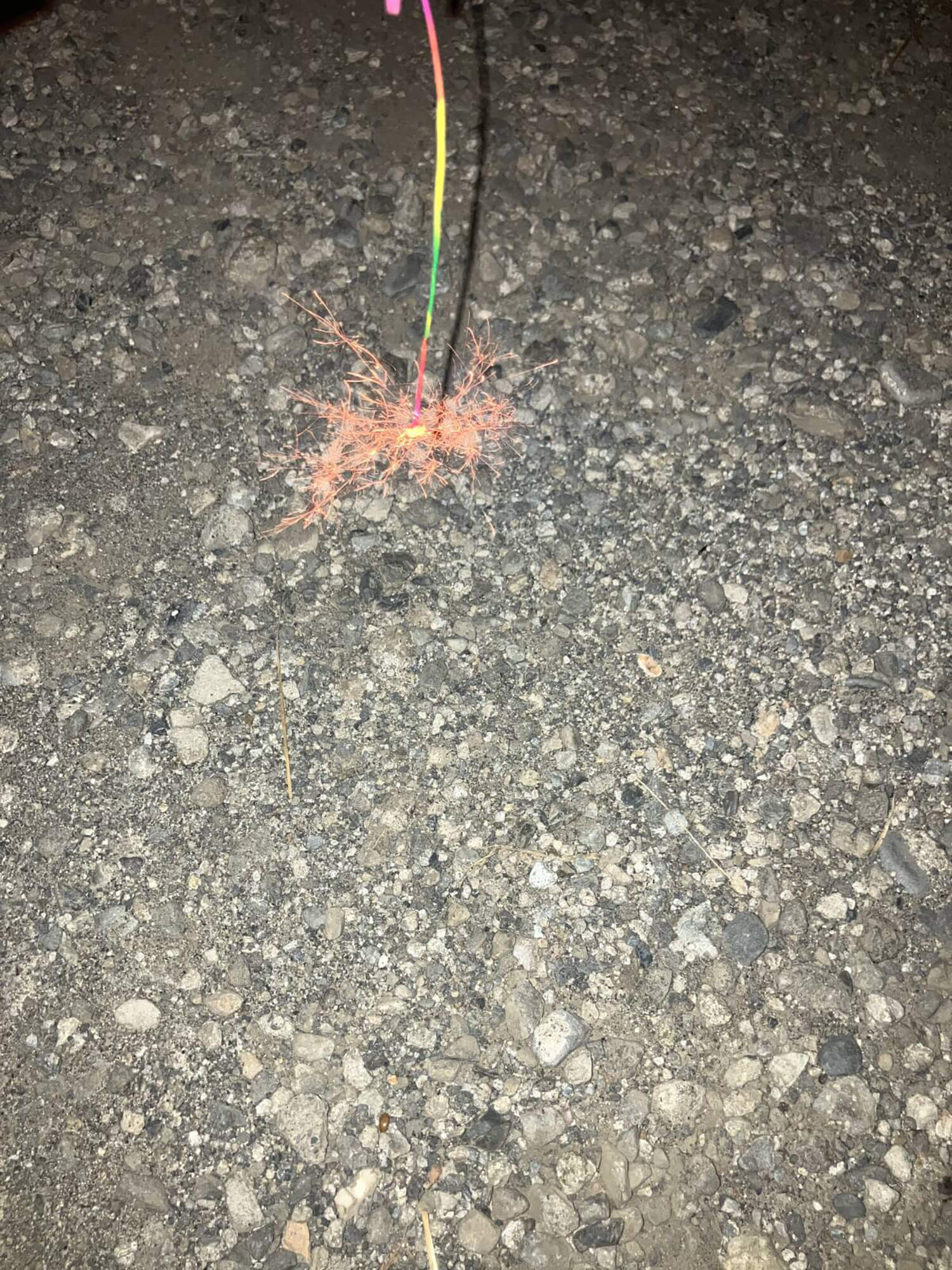 04 花火