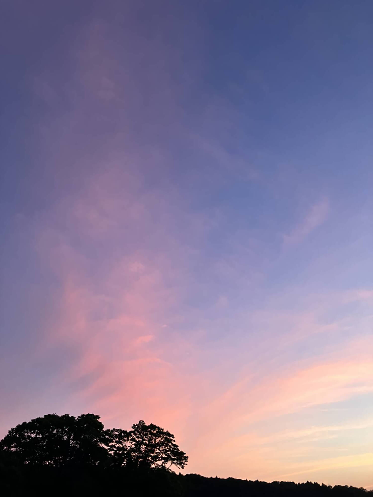 05 空
