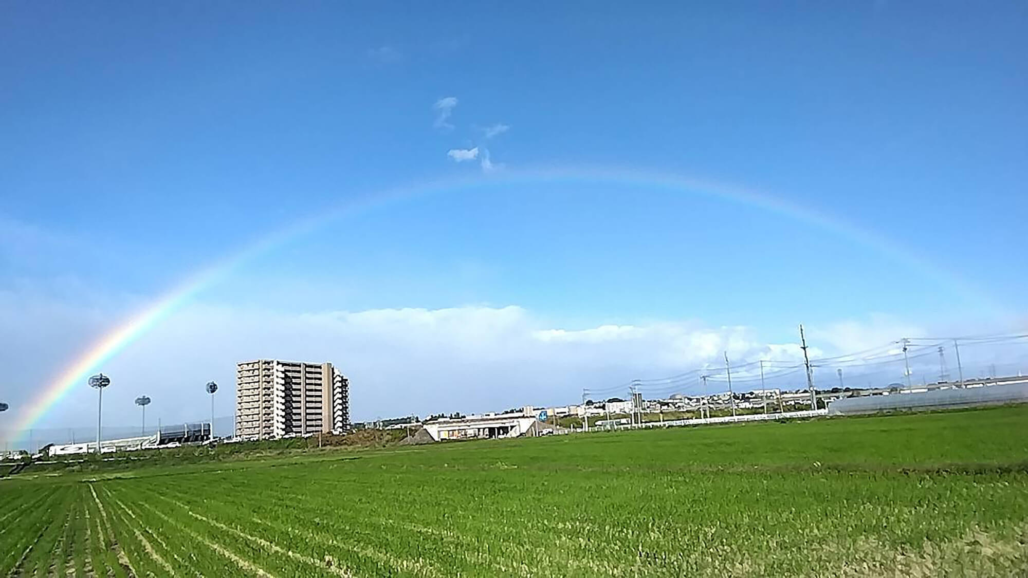 10 幸運の架け橋