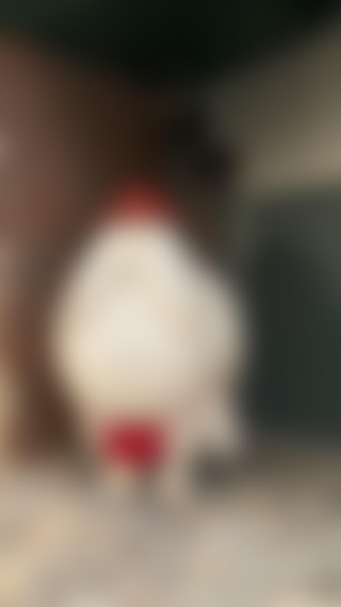 18 おしら様